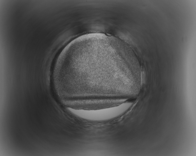 X0000088440243200706191258