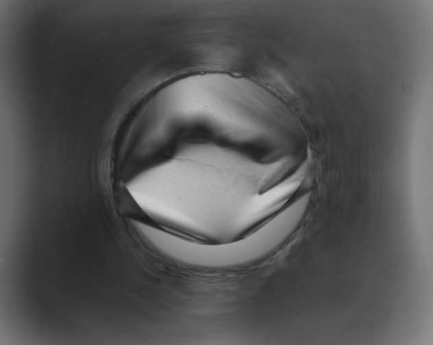 X0000088440244200706191258