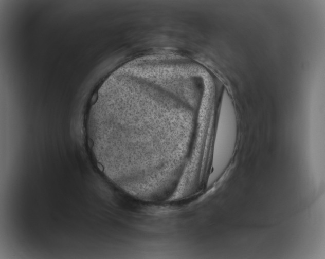 X0000088440245200706191258