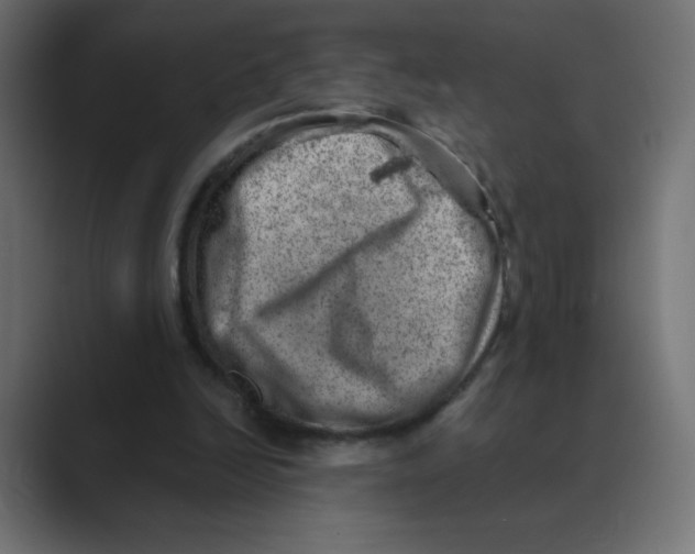X0000088440246200706191258
