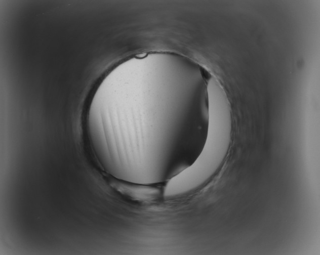 X0000088440248200706191258