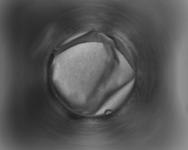 X0000088440250200706191258