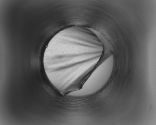X0000088440252200706191258