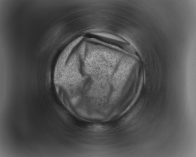 X0000088440253200706191258