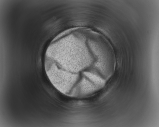X0000088440254200706191258