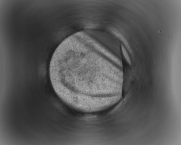 X0000088440257200706191258