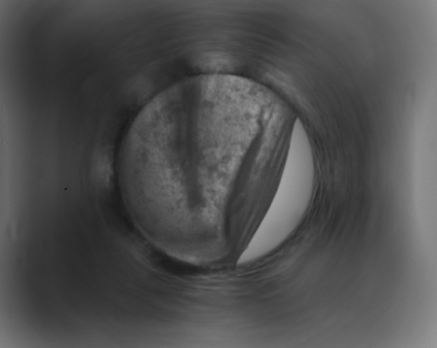 X0000088440259200706191258