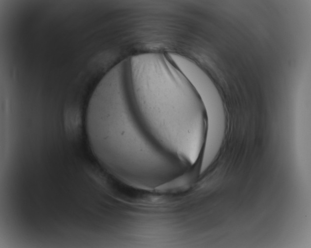 X0000088440260200706191258