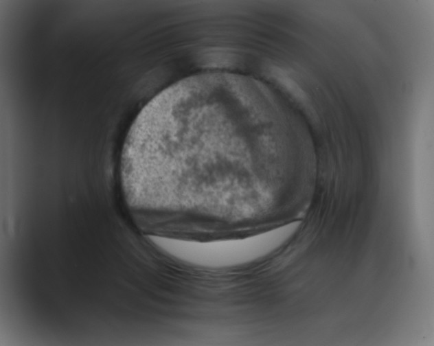X0000088440261200706191258