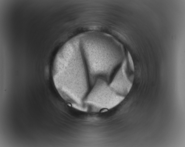 X0000088440262200706191258