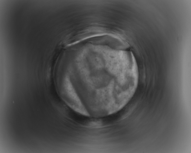 X0000088440263200706191258