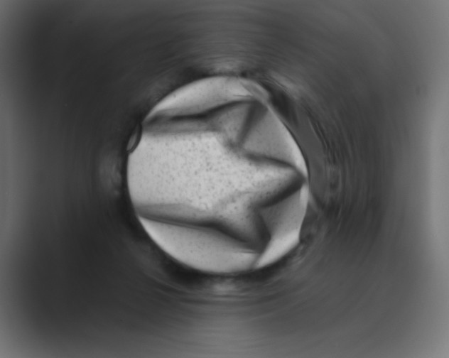 X0000088440264200706191258