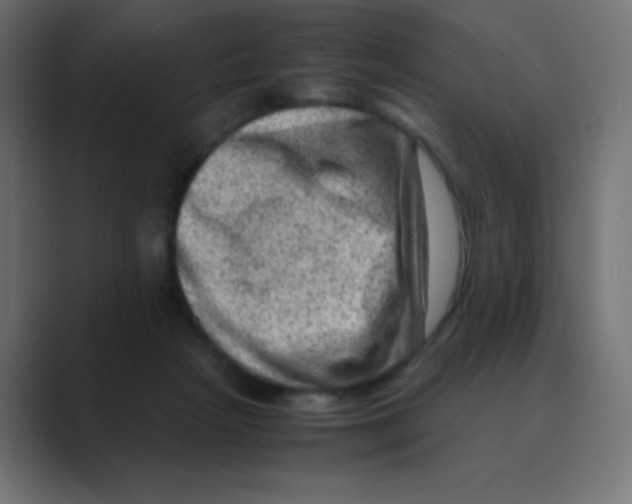 X0000088440265200706191258