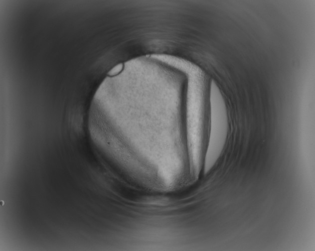 X0000088440266200706191258