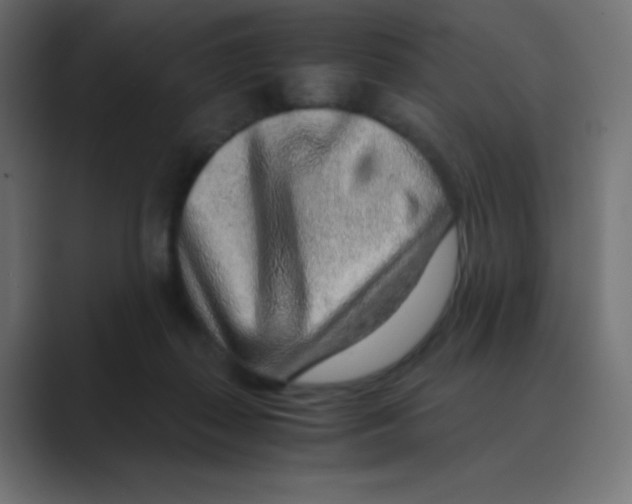 X0000088440267200706191258