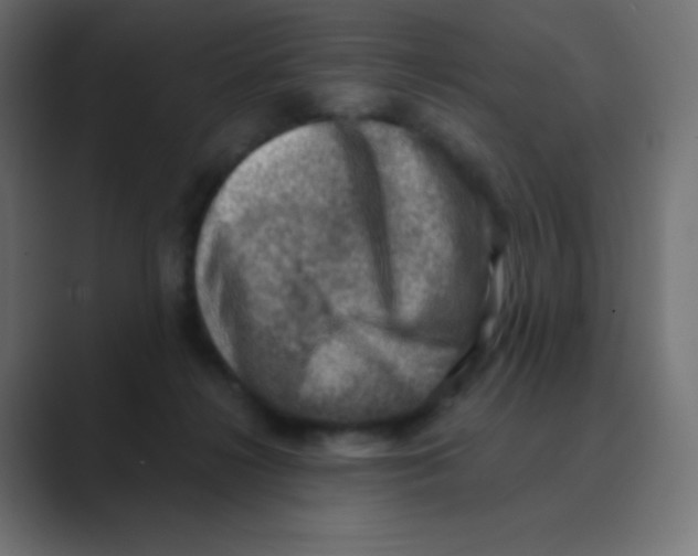 X0000088440268200706191258