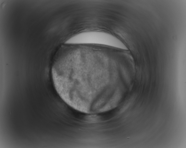 X0000088440269200706191258