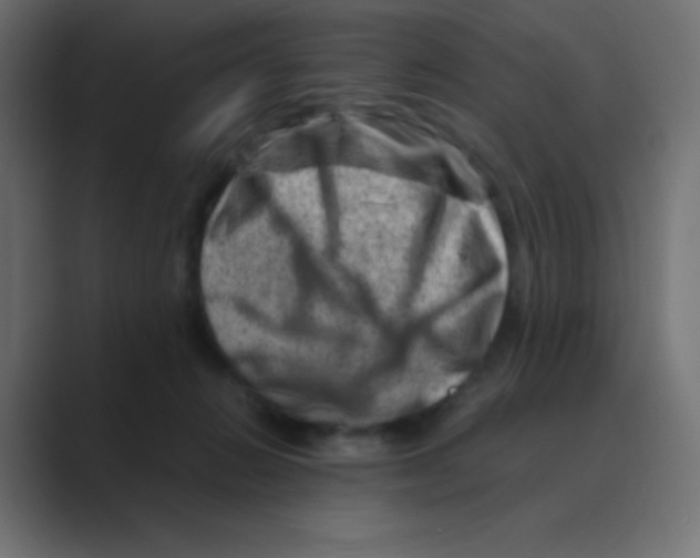X0000088440270200706191258