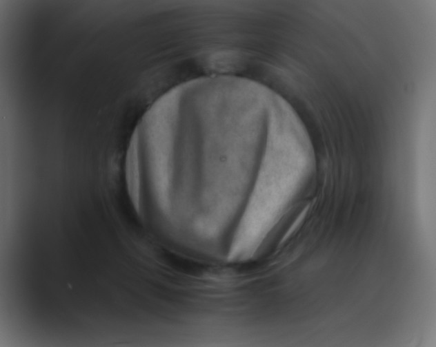 X0000088440271200706191258