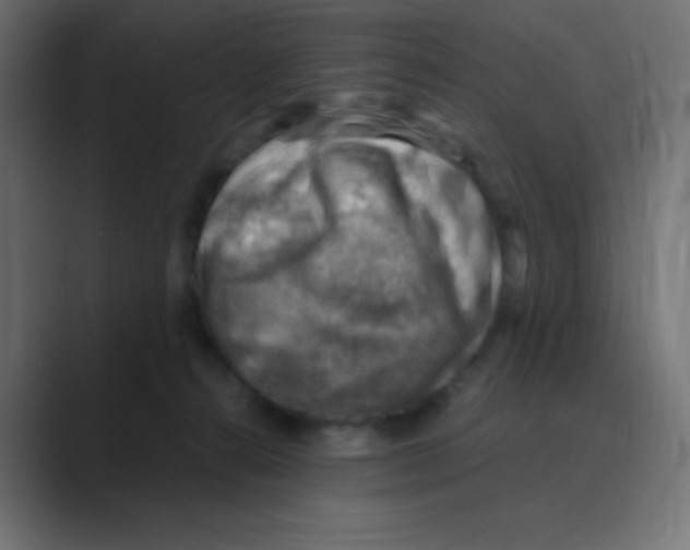 X0000088440272200706191258