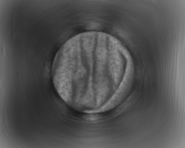 X0000088440273200706191258