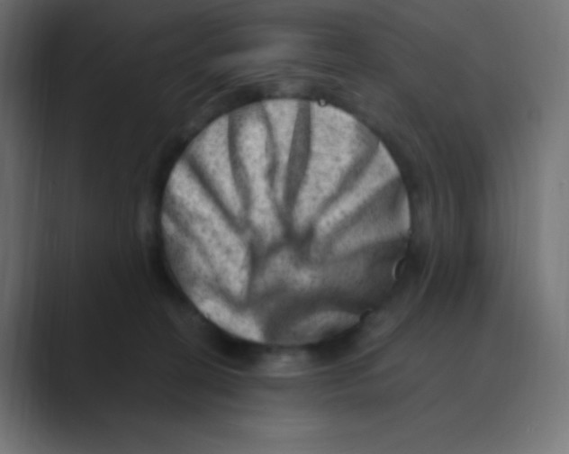 X0000088440274200706191258