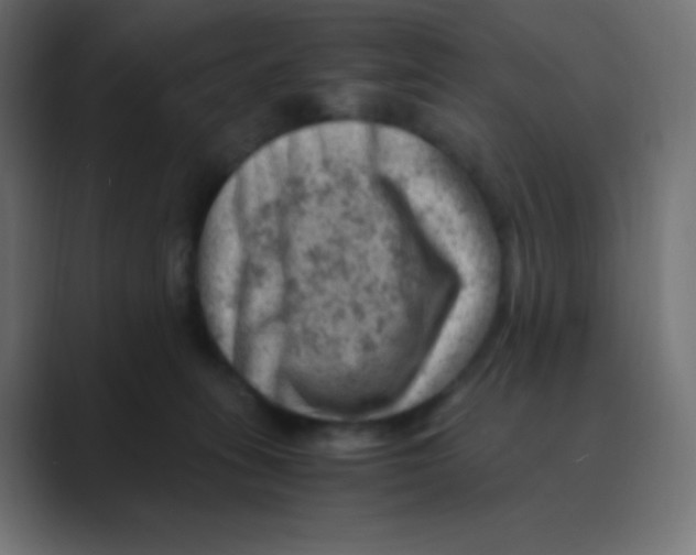 X0000088440275200706191258
