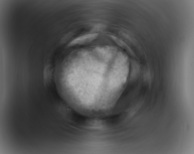 X0000088440276200706191258