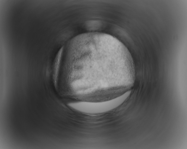 X0000088440277200706191258