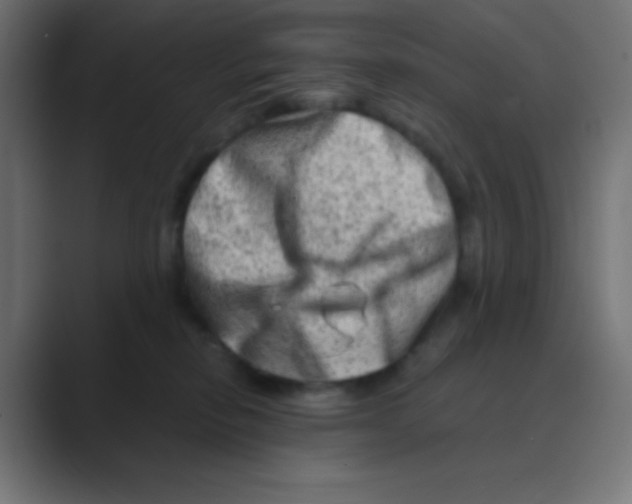X0000088440278200706191258