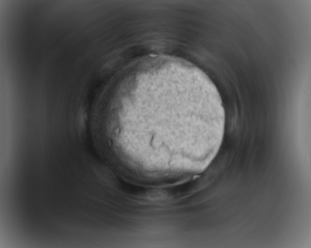 X0000088440279200706191258