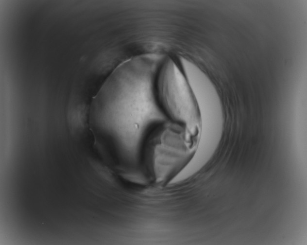 X0000088440280200706191258