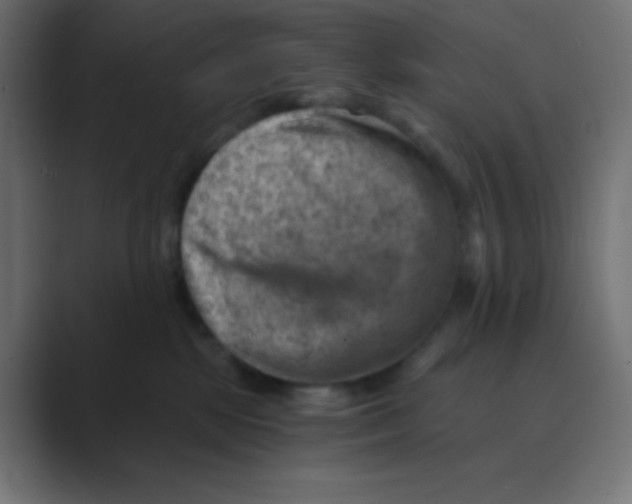 X0000088440281200706191258