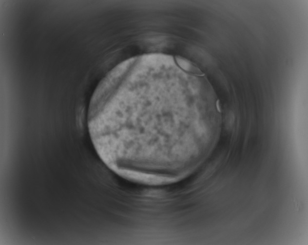 X0000088440283200706191258