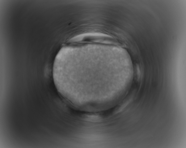 X0000088440284200706191258