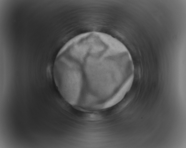 X0000088440286200706191258