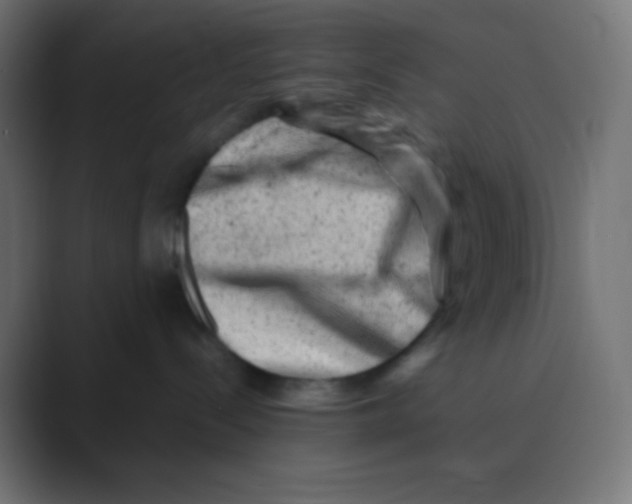 X0000088440288200706191258
