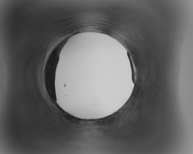 X0000088440289200706191258