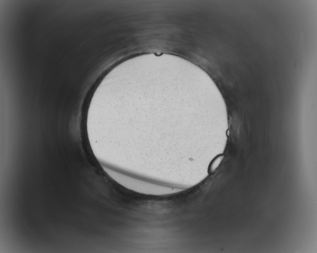 X0000088440292200706191258