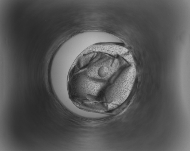 X0000088440293200706191258