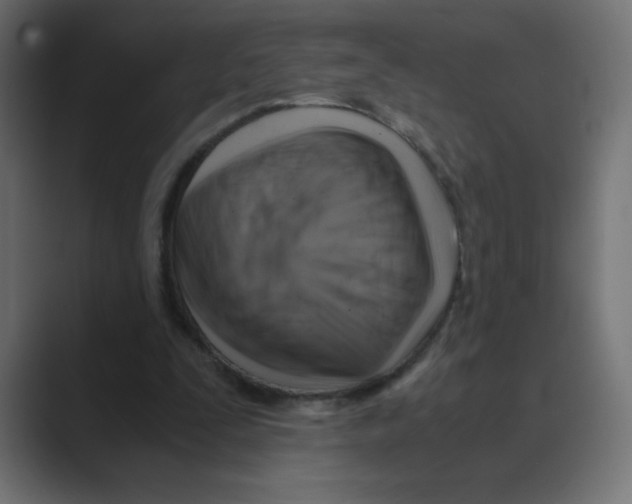 X0000088440295200706191258