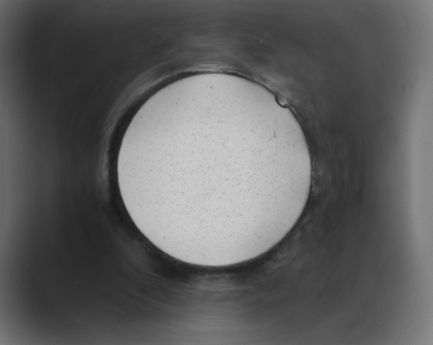 X0000088440296200706191258