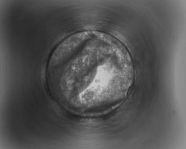X0000088440297200706191258