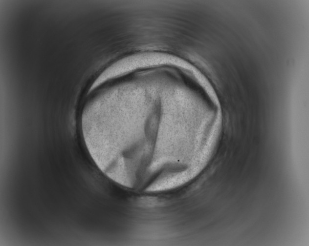 X0000088440298200706191258
