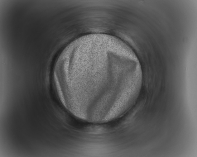 X0000088440299200706191258