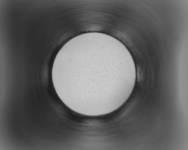 X0000088440300200706191258