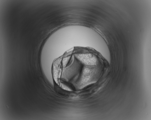 X0000088440301200706191258