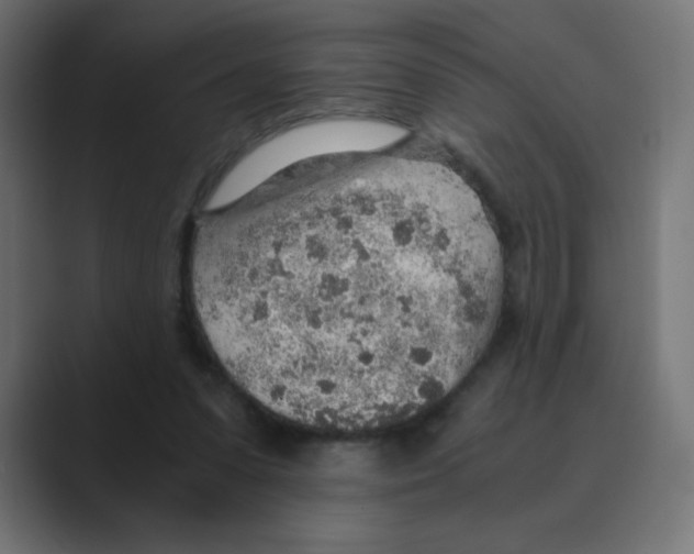 X0000088440303200706191258
