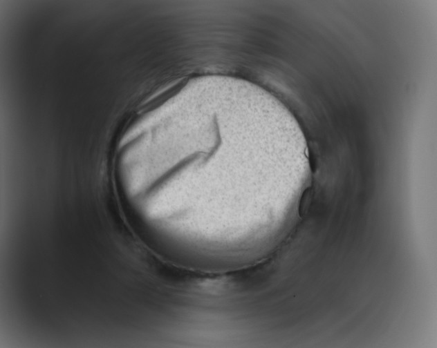 X0000088440306200706191258