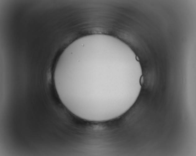 X0000088440310200706191257